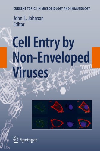 9783642264696: Cell Entry by Non-Enveloped Viruses (Current Topics in Microbiology and Immunology, 343)