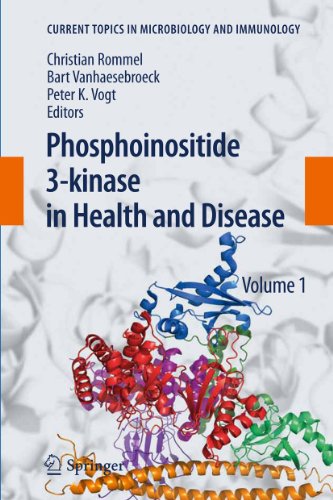 9783642265228: Phosphoinositide 3-kinase in Health and Disease: Volume 1: 346 (Current Topics in Microbiology and Immunology, 346)