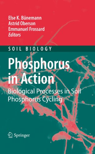 9783642265921: Phosphorus in Action: Biological Processes in Soil Phosphorus Cycling: 26 (Soil Biology)