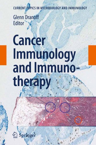 Imagen de archivo de Cancer Immunology and Immunotherapy (Current Topics in Microbiology and Immunology, 344) a la venta por Lucky's Textbooks