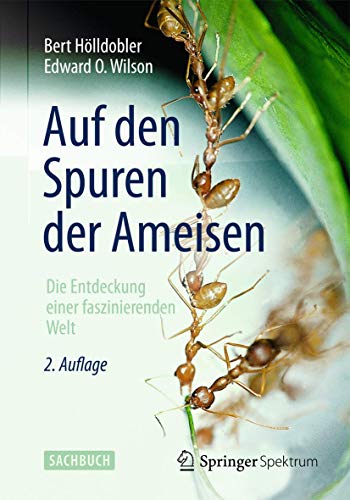 9783642325656: Auf Den Spuren Der Ameisen: Die Entdeckung Einer Faszinierenden Welt