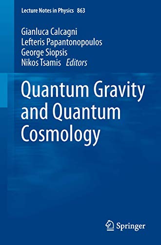 Stock image for Quantum Gravity and Quantum Cosmology for sale by Ria Christie Collections