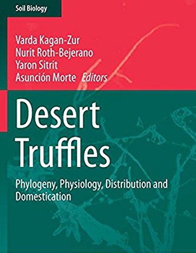 9783642400971: Desert Truffles: Phylogeny, Physiology, Distribution and Domestication