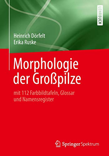 Stock image for Morphologie Der Gropilze for sale by Blackwell's
