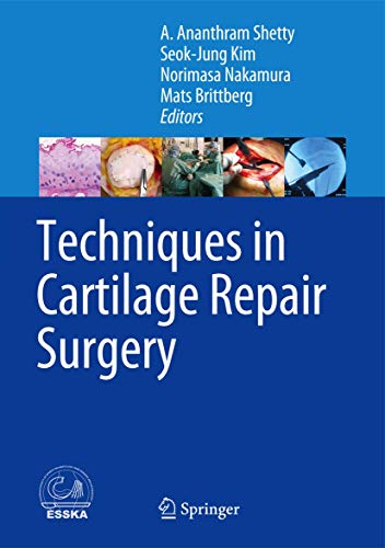9783642419201: Techniques in Cartilage Repair Surgery