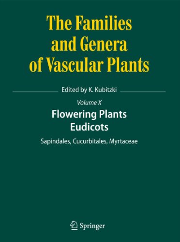 Flowering Plants. Eudicots : Sapindales, Cucurbitales, Myrtaceae - Klaus Kubitzki