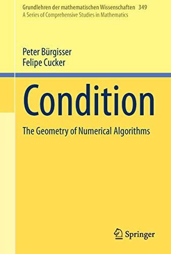 Imagen de archivo de Condition: The Geometry of Numerical Algorithms (Grundlehren der mathematischen Wissenschaften, 349) a la venta por Book Deals