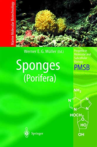 Stock image for Sponges (Porifera): 37 (Progress in Molecular and Subcellular Biology, 37) for sale by AwesomeBooks