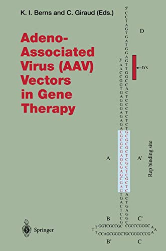 Stock image for Adeno-associated Virus (Aav) Vectors in Gene Therapy (Current Topics in Microbiology and Immunology) for sale by Revaluation Books