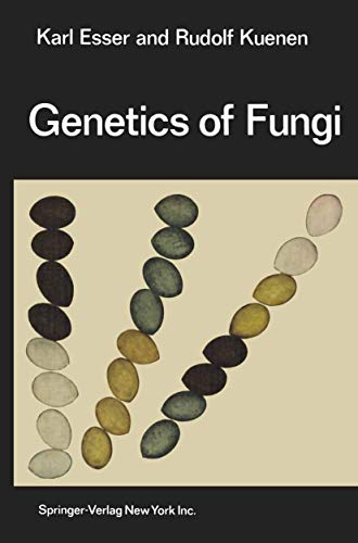 Stock image for Genetics of Fungi for sale by Anybook.com