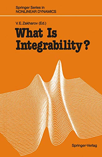 Imagen de archivo de What Is Integrability? a la venta por Revaluation Books