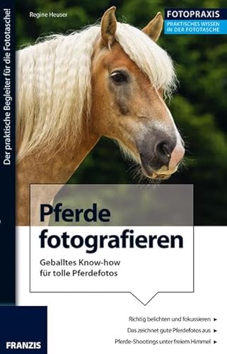 Beispielbild fr Foto Praxis Pferde fotografieren. Geballtes Know-how fr tolle Pferdefotos. zum Verkauf von medimops