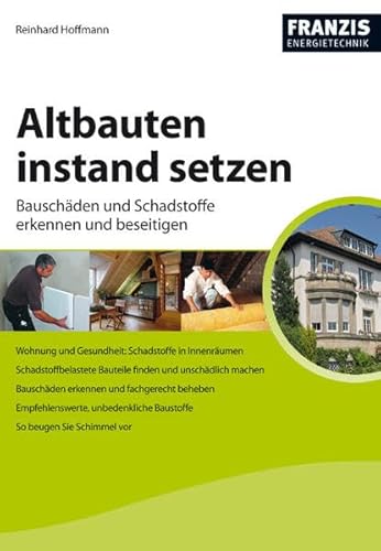 Stock image for Altbauten instand setzen for sale by medimops