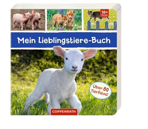 Stock image for Mein Lieblingstiere-Buch for sale by medimops