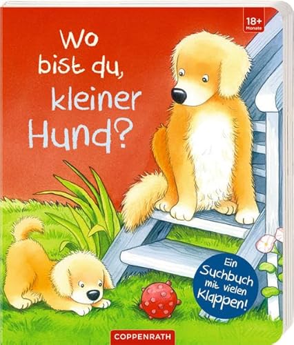 9783649621898: Wo bist du, kleiner Hund?