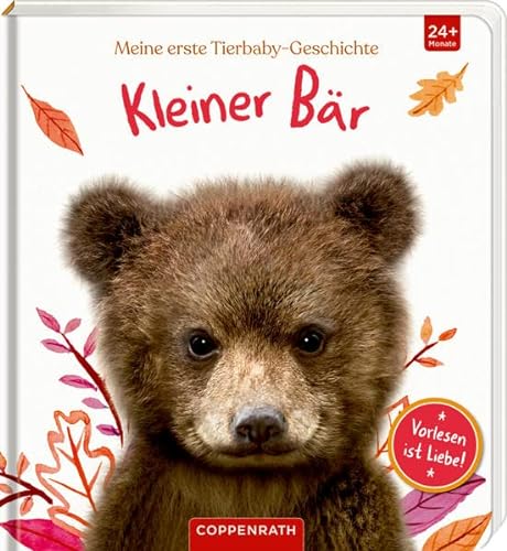Stock image for Meine erste Tierbaby-Geschichte: Kleiner Br for sale by medimops
