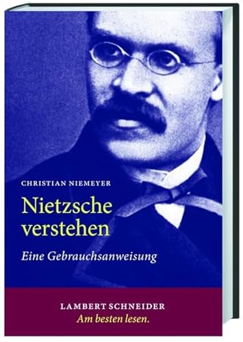 Beispielbild fr Nietzsche verstehen: Eine Gebrauchsanweisung zum Verkauf von suspiratio - online bcherstube