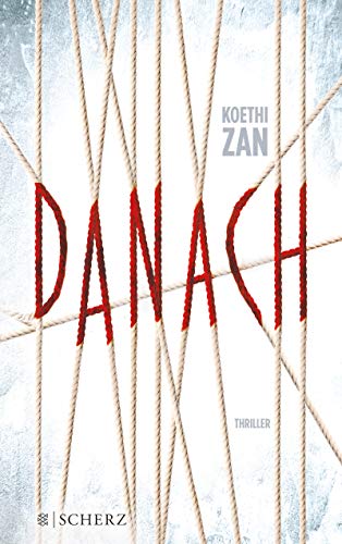 Danach. Thriller. Aus dem Amerikanischen von Verena Kilchling.