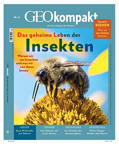 Beispielbild fr GEO kompakt / GEOkompakt 62/2020 - Das geheime Leben der Insekten: Die Grundlagen des Wissens zum Verkauf von medimops