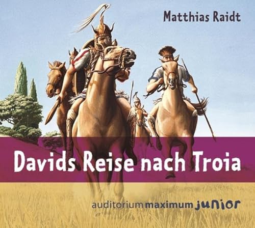 9783654601953: Davids Reise nach Troia