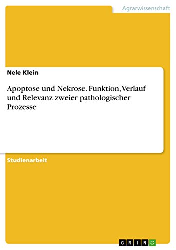 9783656616542: Apoptose und Nekrose. Funktion, Verlauf und Relevanz zweier pathologischer Prozesse