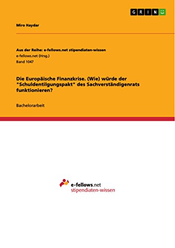 Die Europäische Finanzkrise. (Wie) würde der Schuldentilgungspakt des Sachverständigenrats funktionieren? - Haydar, Miro