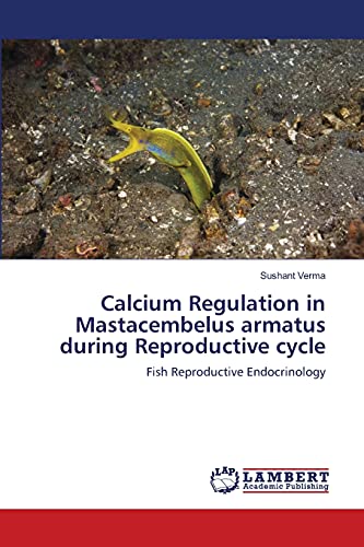 9783659002410: Calcium Regulation in Mastacembelus armatus during Reproductive cycle: Fish Reproductive Endocrinology
