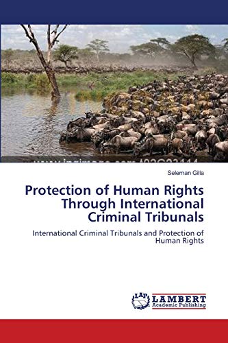 Beispielbild fr Protection of Human Rights Through International Criminal Tribunals: International Criminal Tribunals and Protection of Human Rights zum Verkauf von Lucky's Textbooks