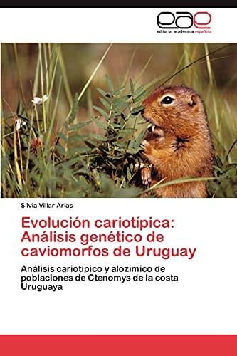 Stock image for Evolucin cariotpica: Anlisis gentico de caviomorfos de Uruguay: Anlisis cariotpico y alozmico de poblaciones de Ctenomys de la costa Uruguaya (Spanish Edition) for sale by Lucky's Textbooks