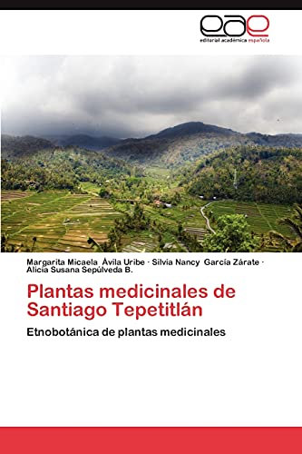 Stock image for Plantas medicinales de Santiago Tepetitln: Etnobotnica de plantas medicinales (Spanish Edition) for sale by Lucky's Textbooks