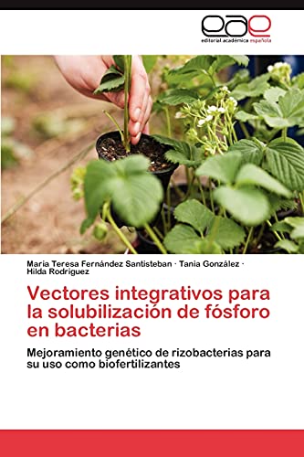 9783659017360: Vectores integrativos para la solubilizacin de fsforo en bacterias: Mejoramiento gentico de rizobacterias para su uso como biofertilizantes (Spanish Edition)