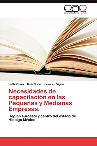 Imagen de archivo de Necesidades de capacitacin en las Pequeas y Medianas Empresas.: Regin suroeste y centro del estado de Hidalgo Mxico. (Spanish Edition) a la venta por Lucky's Textbooks