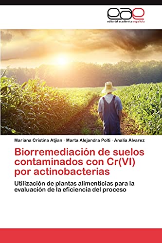 9783659031526: Biorremediacion de Suelos Contaminados Con Cr(vi) Por Actinobacterias: Utilizacin de plantas alimenticias para la evaluacin de la eficiencia del proceso