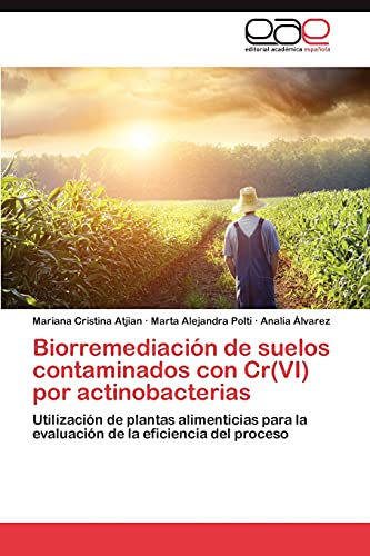 9783659031526: Biorremediacin de suelos contaminados con Cr(VI) por actinobacterias: Utilizacin de plantas alimenticias para la evaluacin de la eficiencia del proceso