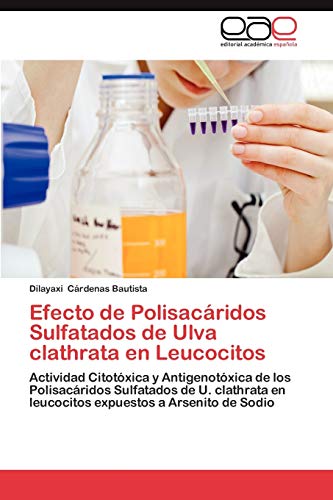 9783659032806: Efecto de Polisacaridos Sulfatados de Ulva Clathrata En Leucocitos: Actividad Citotxica y Antigenotxica de los Polisacridos Sulfatados de U. clathrata en leucocitos expuestos a Arsenito de Sodio
