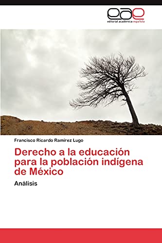 Beispielbild fr Derecho a la educacin para la poblacin indgena de Mxico: Anlisis zum Verkauf von medimops