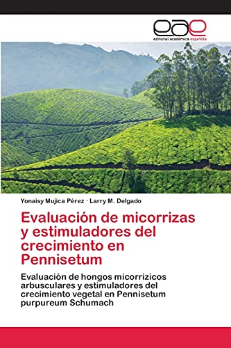 Imagen de archivo de Evaluacion de micorrizas y estimuladores del crecimiento en Pennisetum a la venta por Chiron Media