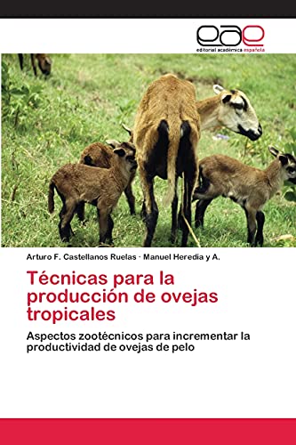 Imagen de archivo de Tecnicas para la produccion de ovejas tropicales a la venta por Chiron Media