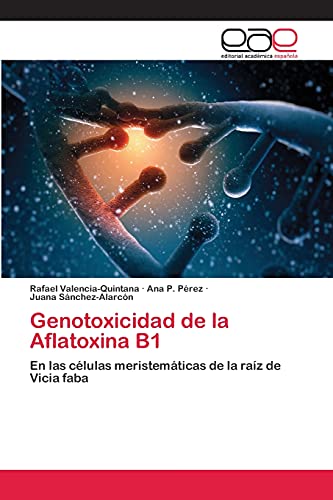 Beispielbild fr Genotoxicidad de la Aflatoxina B1: En las clulas meristemticas de la raz de Vicia faba (Spanish Edition) zum Verkauf von Lucky's Textbooks