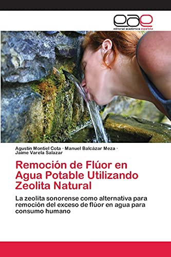 Imagen de archivo de Remocin de Flor en Agua Potable Utilizando Zeolita Natural: La zeolita sonorense como alternativa para remocin del exceso de flor en agua para consumo humano (Spanish Edition) a la venta por Lucky's Textbooks