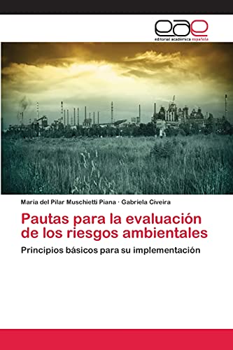 Stock image for Pautas para la evaluacion de los riesgos ambientales for sale by Chiron Media