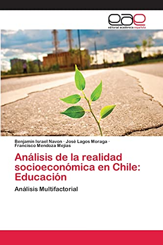 Imagen de archivo de Analisis de la realidad socioeconomica en Chile: Educacion a la venta por Chiron Media