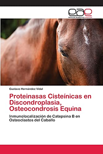 9783659078842: Proteinasas Cistenicas en Discondroplasia, Osteocondrosis Equina: Inmunolocalizacin de Catepsina B en Osteoclastos del Caballo