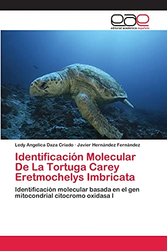 Imagen de archivo de Identificacin Molecular De La Tortuga Carey Eretmochelys Imbricata: Identificacin molecular basada en el gen mitocondrial citocromo oxidasa I (Spanish Edition) a la venta por Lucky's Textbooks