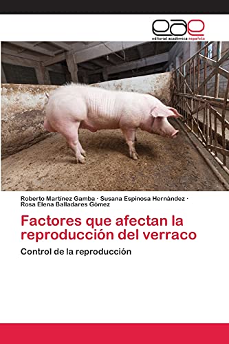 Stock image for Factores que afectan la reproduccin del verraco: Control de la reproduccin (Spanish Edition) for sale by Lucky's Textbooks