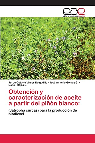 9783659085208: Obtencin y caracterizacin de aceite a partir del pin blanco:: (Jatropha curcas) para la produccin de biodiesel