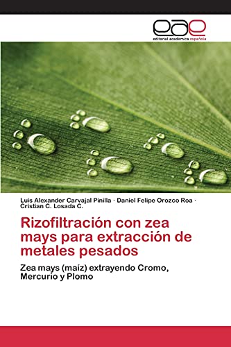 Beispielbild fr Rizofiltracin con zea mays para extraccin de metales pesados: Zea mays (maz) extrayendo Cromo, Mercurio y Plomo (Spanish Edition) zum Verkauf von Lucky's Textbooks