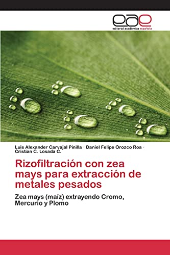 Imagen de archivo de Rizofiltracin con zea mays para extraccin de metales pesados: Zea mays (maz) extrayendo Cromo, Mercurio y Plomo (Spanish Edition) a la venta por Lucky's Textbooks