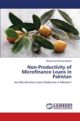 9783659102875: Non-Productivity of Microfinance Loans in Pakistan: Are Microfinance Loans Productive in Pakistan?