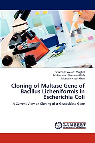 Beispielbild fr Cloning of Maltase Gene of Bacillus Licheniformis in Escherichia Coli: A Current View on Cloning of ?-Glucosidase Gene zum Verkauf von Lucky's Textbooks